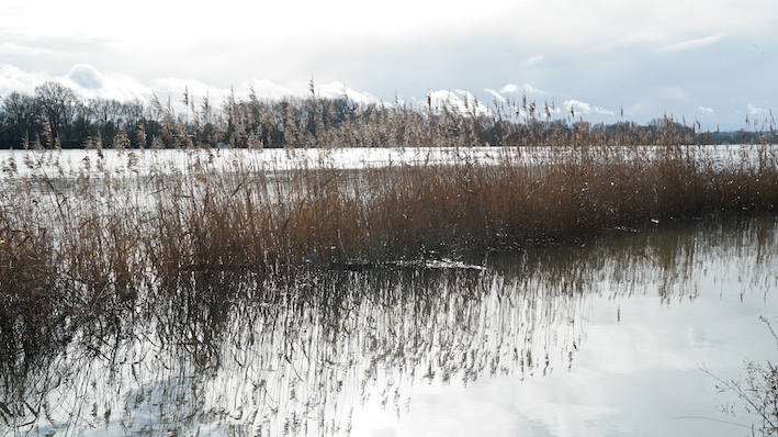 Loire-herbes3-janv26©KRSTL26